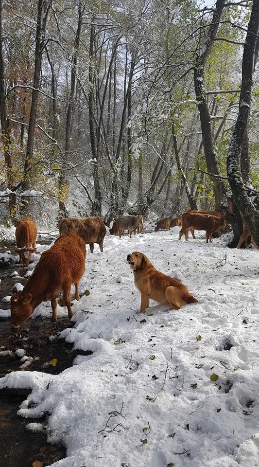 Η φύση στο πιάτο μας
